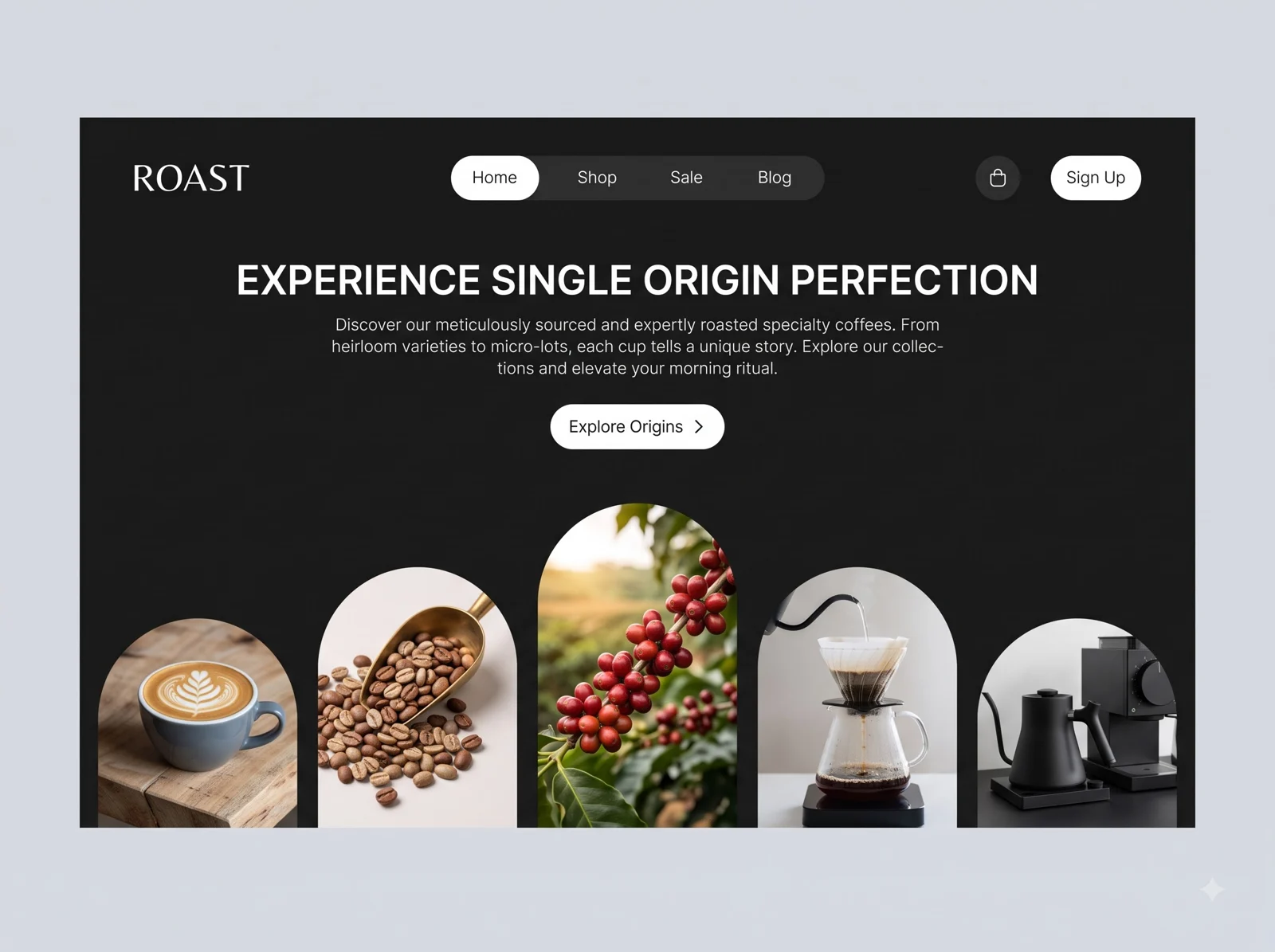 ROAST — main website art direction
